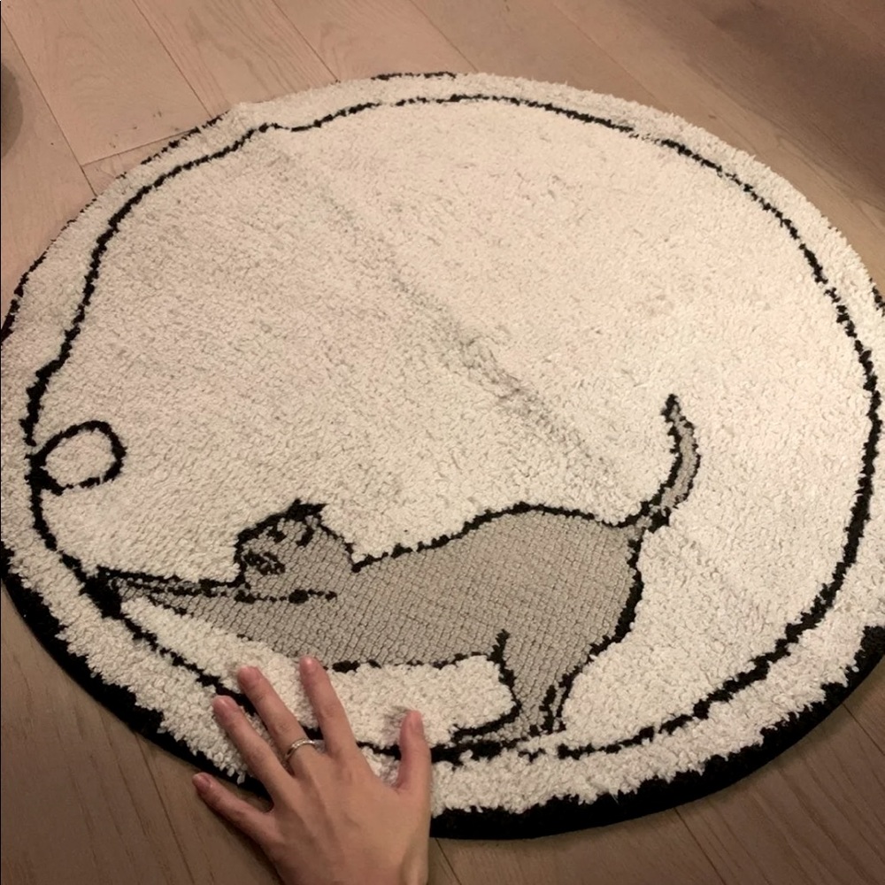 Area rug cat kitty
